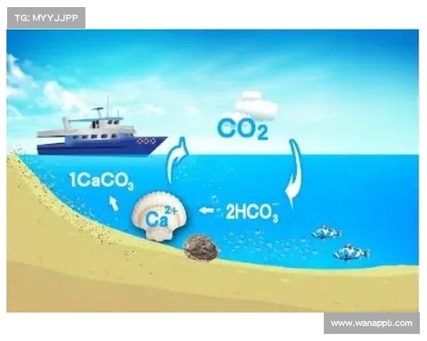 加强足球转会市场监管机制推动公平竞争与可持续发展政策研究 加强足球转会市场监管机制推动公平竞争与可持续发展政策研究