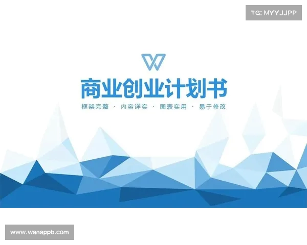 足球俱乐部转会资金使用计划制定与优化策略分析 足球俱乐部转会资金使用计划制定与优化策略分析