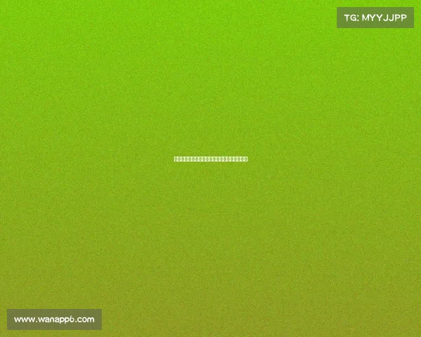 英超最新比分实时更新与精彩赛事分析尽在这里 英超最新比分实时更新与精彩赛事分析尽在这里