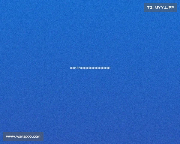 以欧冠442阵型为核心解析现代足球战术布局与球队表现