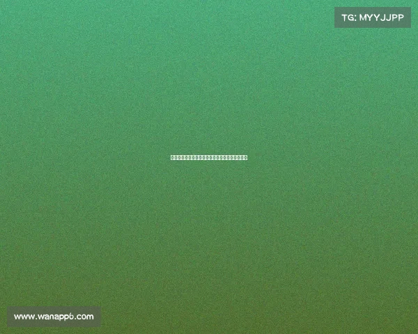 英超亚洲球员崛起之路：从草根到巨星的奋斗历程