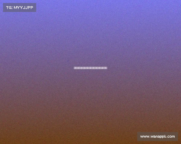 足球俱乐部转会资金使用计划制定与优化策略分析